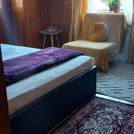 Apartament Διαμερισμα Χωρητικοτητασ Μεχρι 4 Ατομων Κεντρικα! Metsovo Zewnętrze zdjęcie