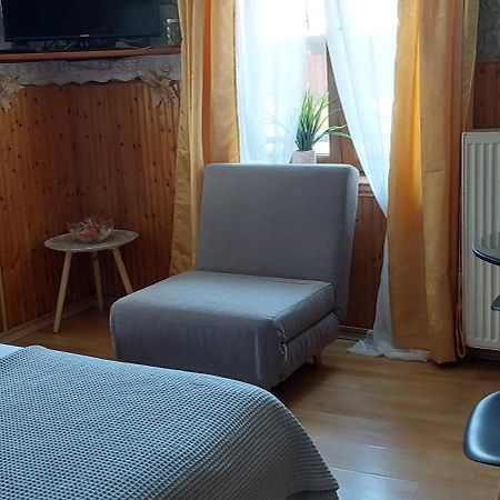 Apartament Διαμερισμα Χωρητικοτητασ Μεχρι 4 Ατομων Κεντρικα! Metsovo Zewnętrze zdjęcie