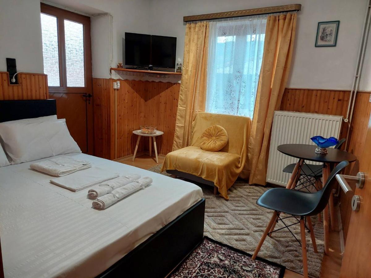 Apartament Διαμερισμα Χωρητικοτητασ Μεχρι 4 Ατομων Κεντρικα! Metsovo Zewnętrze zdjęcie